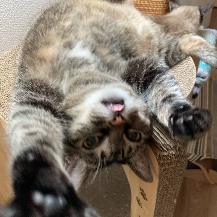 92a74bfb 6247 4b1d b7fb 386414c9940e 1755993209657