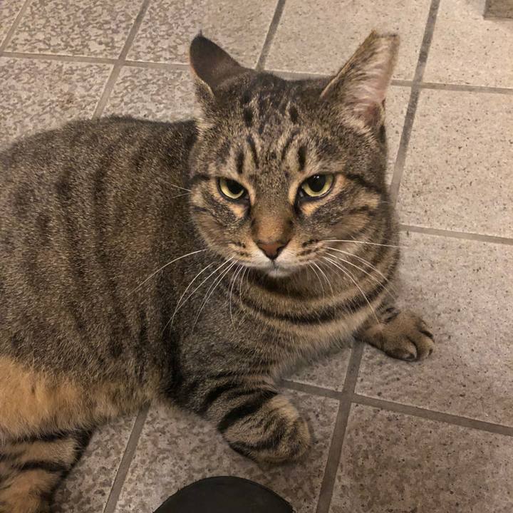 92a769c0 0924 428d 858e 4b0b655d7a3d 1541406954007