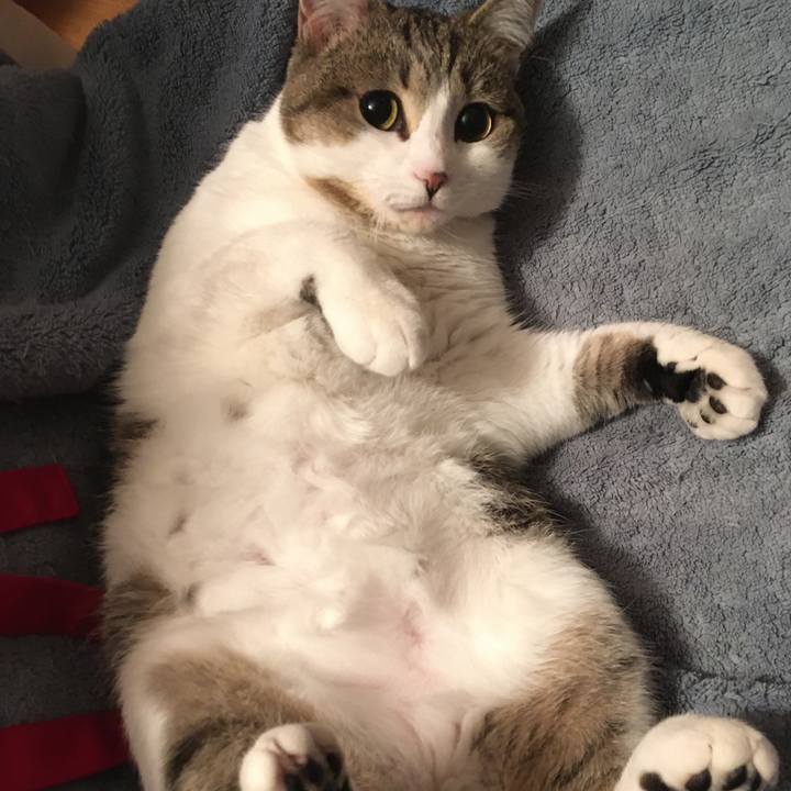 92a774b6 42cc 4a5f a439 a4a424b8988a 1617477690885