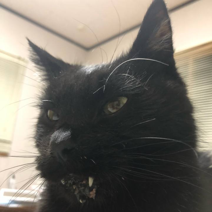 92a78bdc d6b5 471b 874f a6bd99604ea0 1646135119600