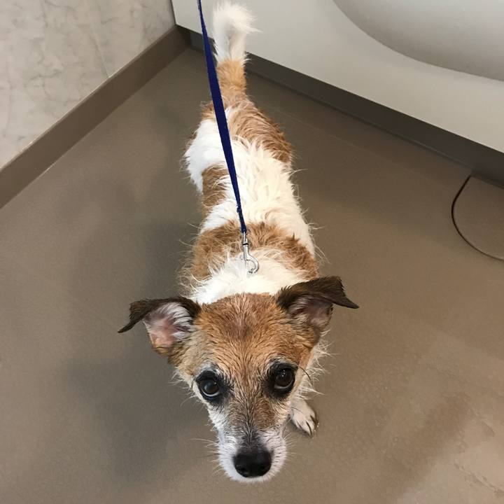 92a791da a851 4a71 a47c 346ff4034dd3 1605497439341