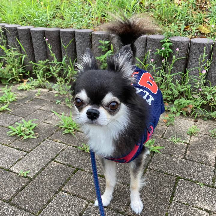 92a797bd 2807 4cff 9ca1 2b25956cf4b7 1719762101490