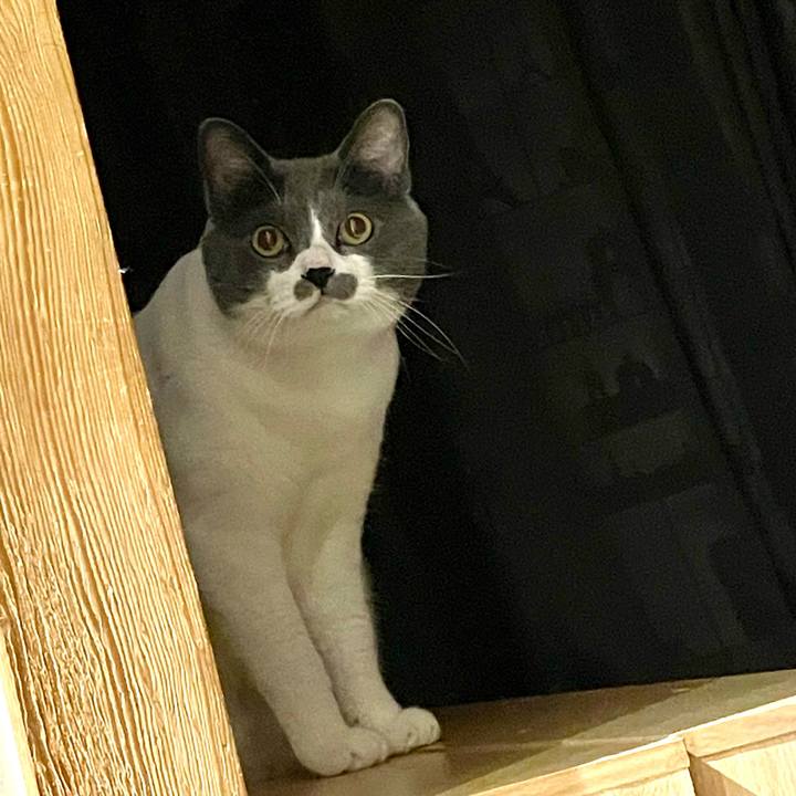 92a7c833 d429 4707 a211 1b15756625ec 1658743396537