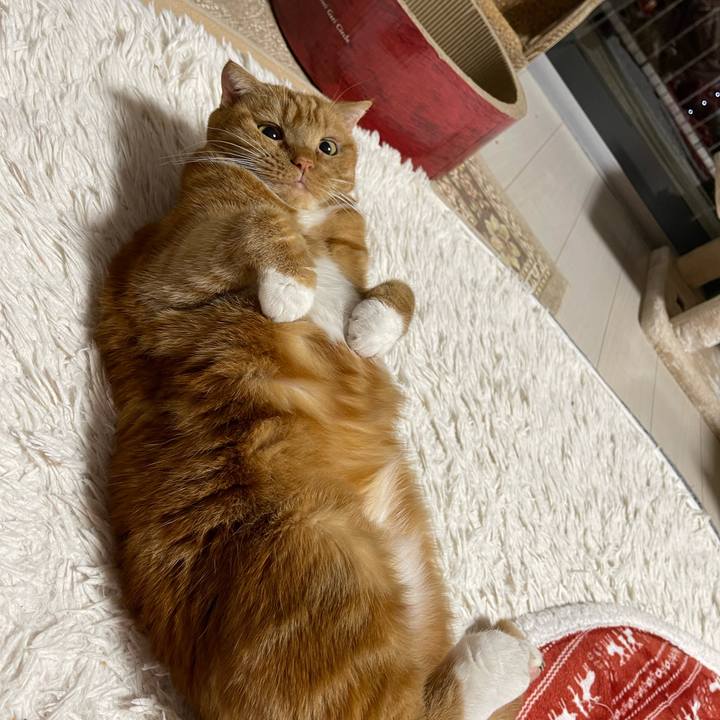 92a8149f cd8d 400b bff5 2eee187488c4 1671195729232