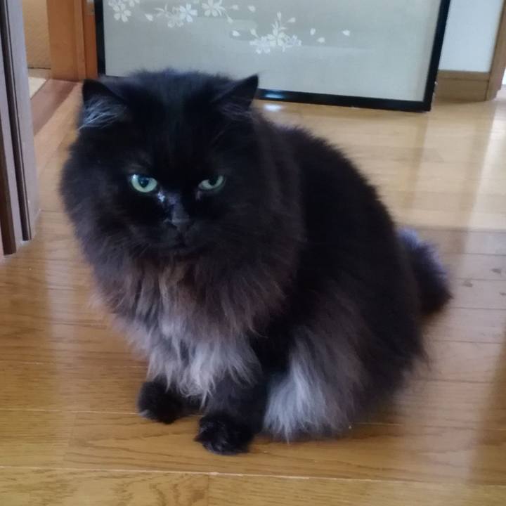 92a8189b d011 486c b9db 878c600b1a8c 1565706616627