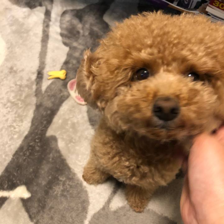 92a84907 d8eb 473c ae89 a14814fcf1c5 1580864628781