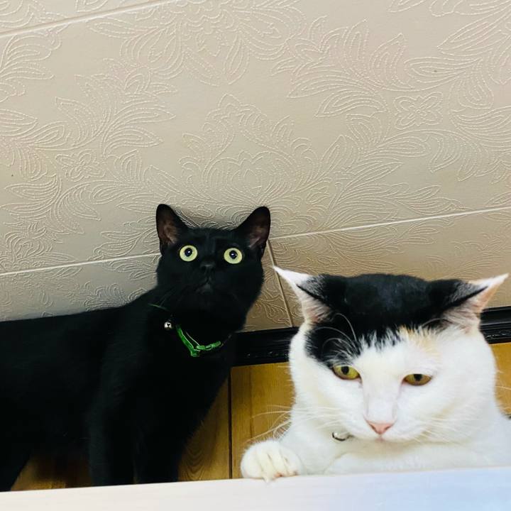 92a85427 4b02 4927 92eb a649c7924b28 1690803547071