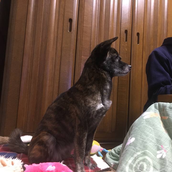 92a86794 67b4 46d6 bbea 20e25f63939b 1546180607570