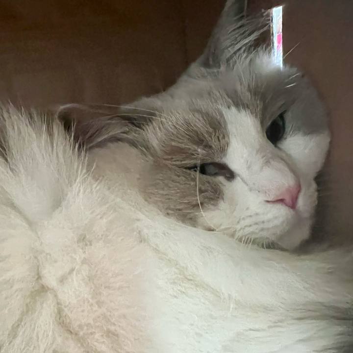 92a86ec6 9ec3 49f5 8bbf 4cb434a9bb25 1638065797128