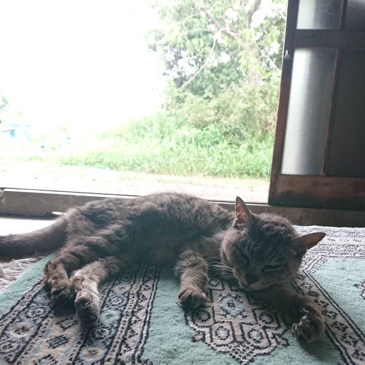 92a882eb 34d0 420c 88f7 a551072aff77 1597475078099