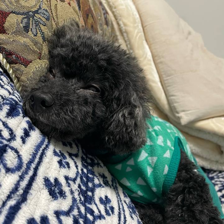 92a8969a 4a93 4c8b aeca 30499339047c 1667386807832