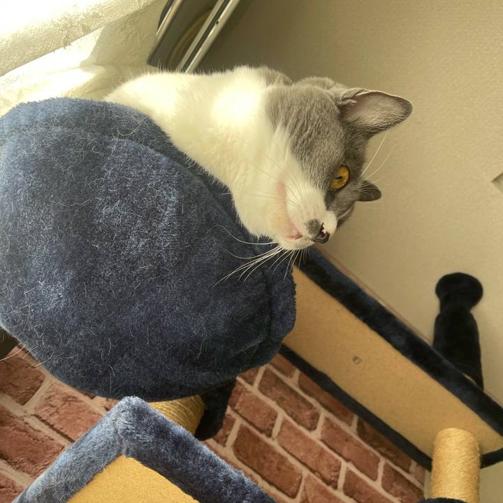 92a8d9fe 9d49 413b b802 ce3ad6cefeae 1700607938611