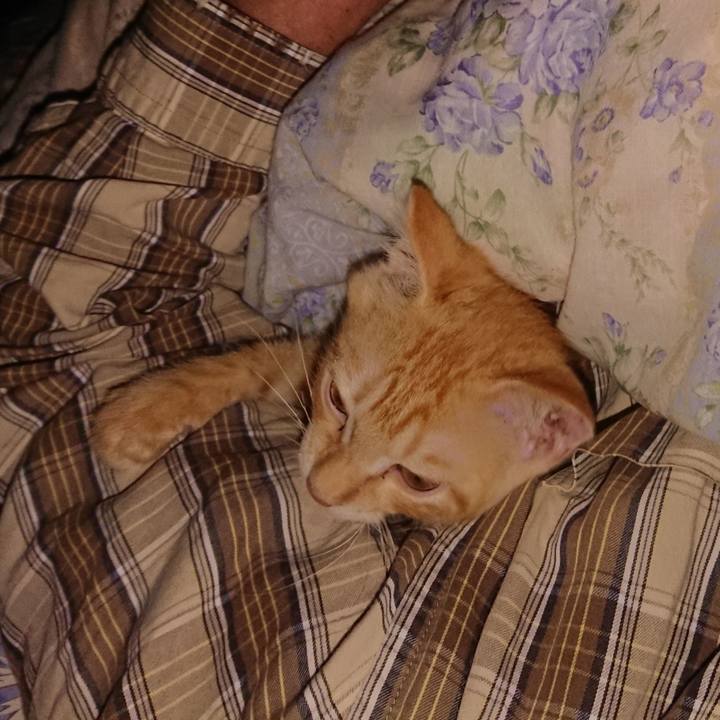 92a8f2e2 0162 488e 8155 ab7087257d11 1631303583986