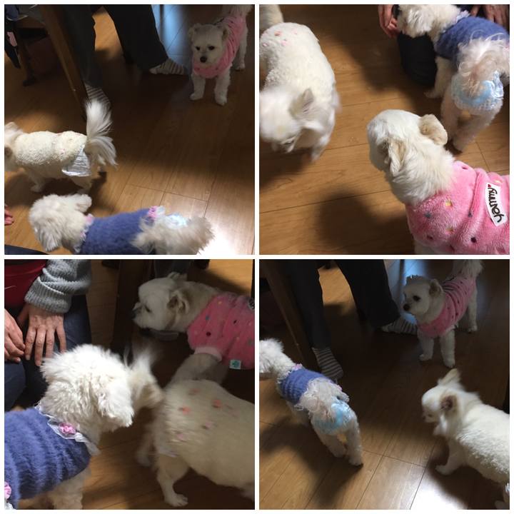 92a95772 1a17 4caf a449 b9f7808d6fec 1549786991167