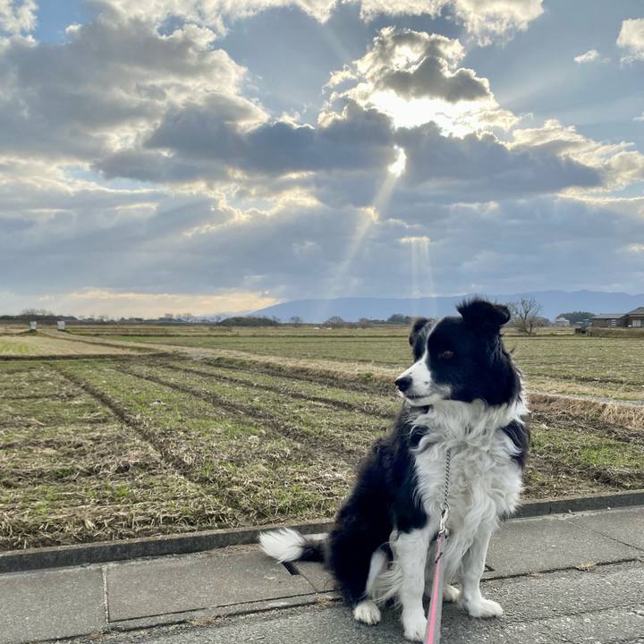 92a98621 b0ef 4031 83ae deaf6b18b599 1640830647366