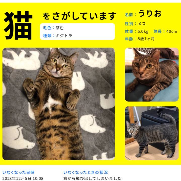 92a9ab4a c5be 472d a265 de35594986fc 1544263896529