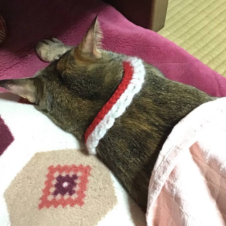 92a9bb3b 8f6b 4e08 8a6c 5d2cd82951c6 1610270342162