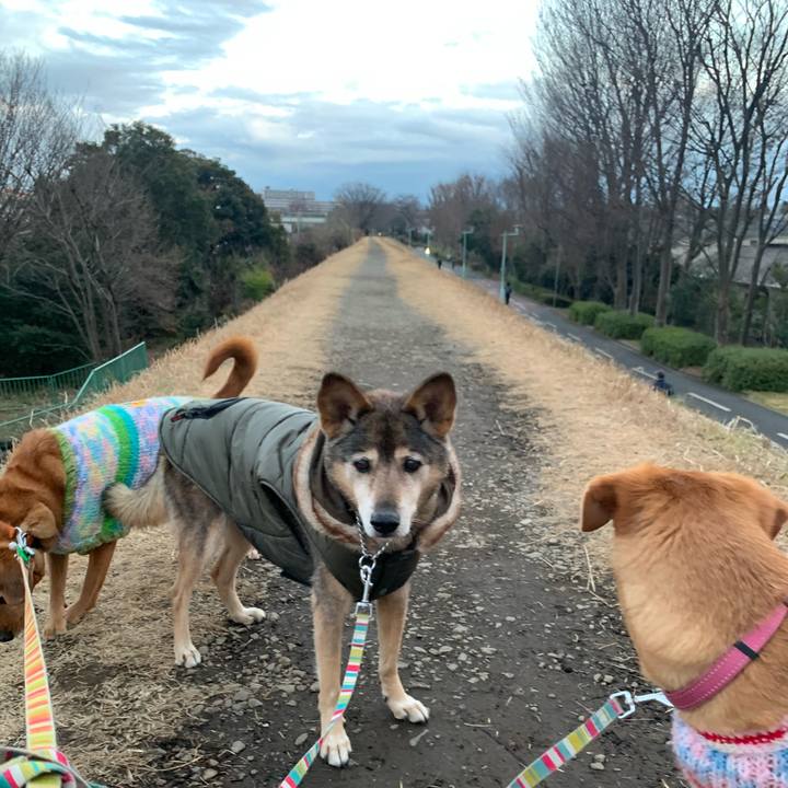 92aa19be 29b1 42fb 9150 6bd4dbabadb0 1579475712894