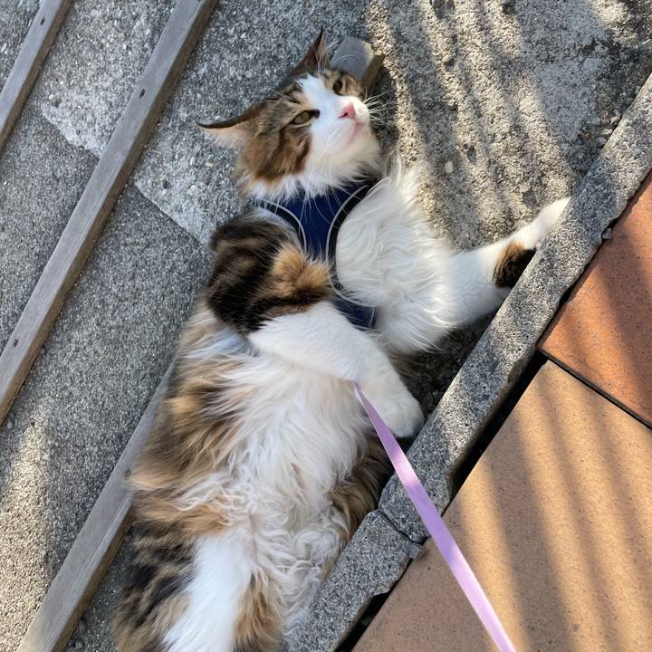 92aa465b 5182 4638 a3ba d959238d5b6a 1651999825367