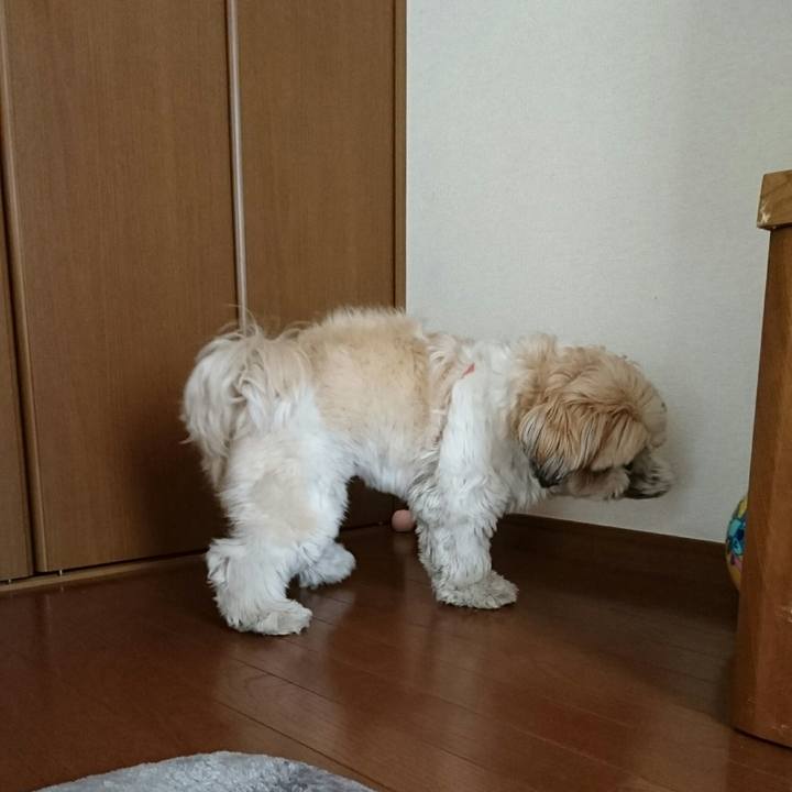 92aa5abb b145 45a0 bf45 3b7a2dc69dbb 1546668389883