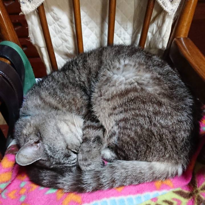 92aa6092 cccf 4010 950d ef6a433c4d6e 1602844440179