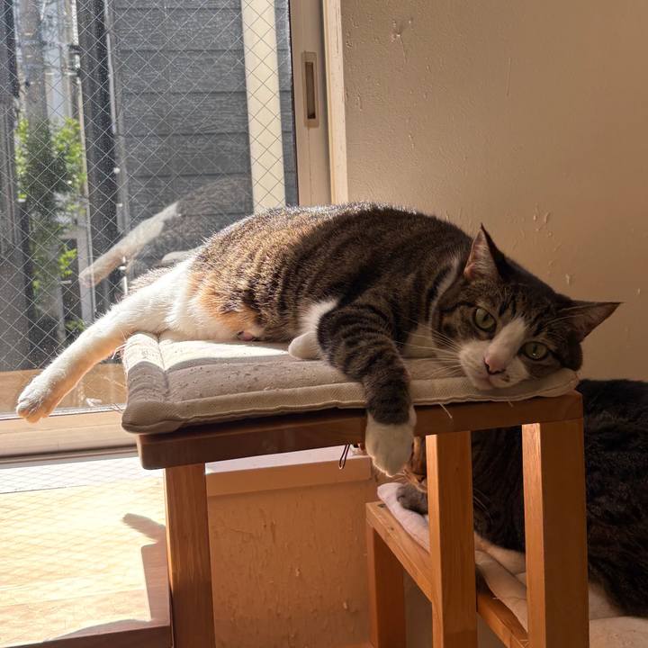 92aa658a 5af2 4647 bb9a 914e95b91ea9 1773455875699