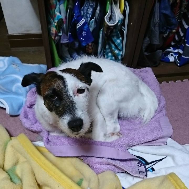 92aa747f b456 4540 9acf 84c61b810f5f 1525515410881