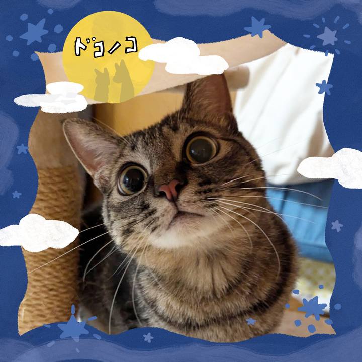 92aa82f1 08b3 4f3d 993b 4998f189b995 1726965035227