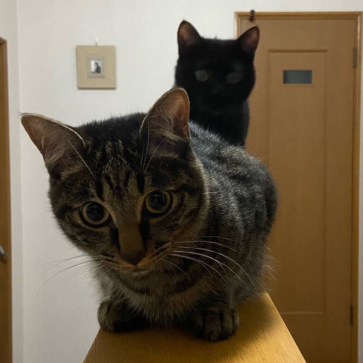 92aaac6a 4afb 4c01 83a5 12c4ccc31ddc 1623936719503