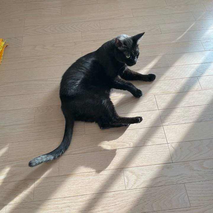 92aac629 a362 4596 94ee c7cd6964cdb1 1723638825976