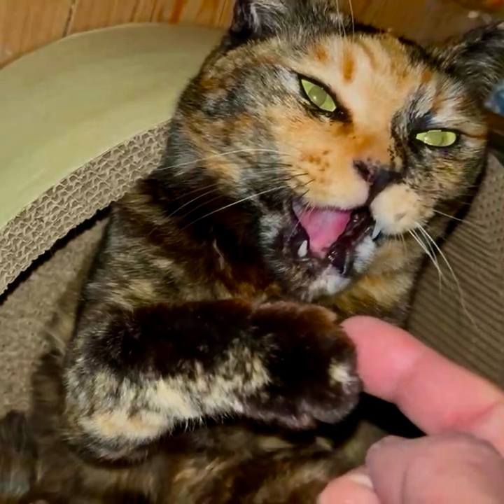 92aac962 ef8e 40b0 a1ad 7260c411aa42 1769202083364