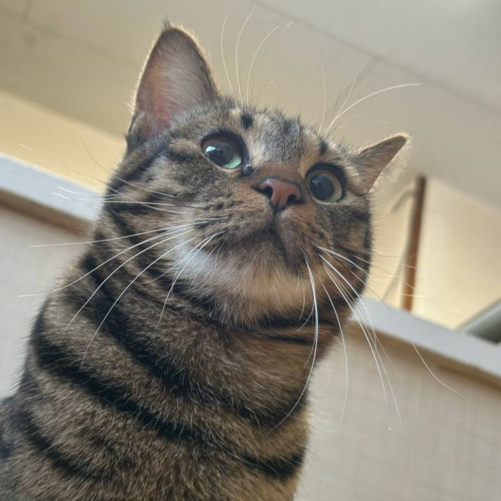 92aae187 ce83 4e6c 958e e654cdc95827 1763781466481