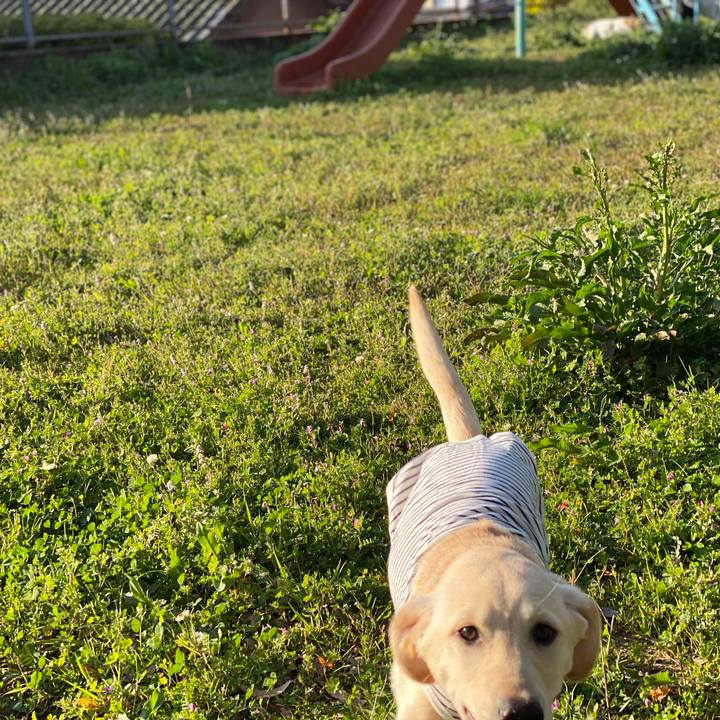 92aae3c6 3e0a 415d 96fc 76cb8711964d 1616676770553