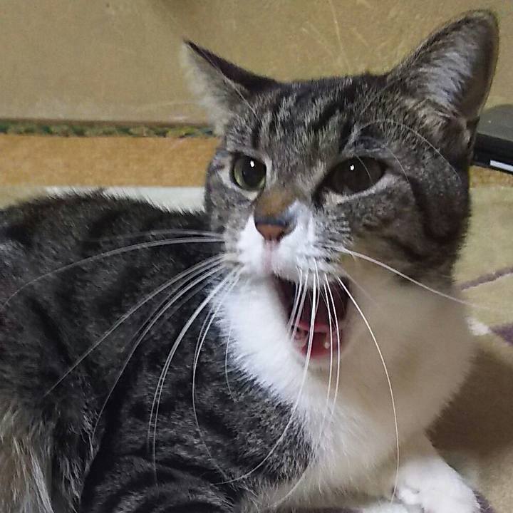 92ab0aaa b396 451d 9918 879e34babc5a 1645463614112