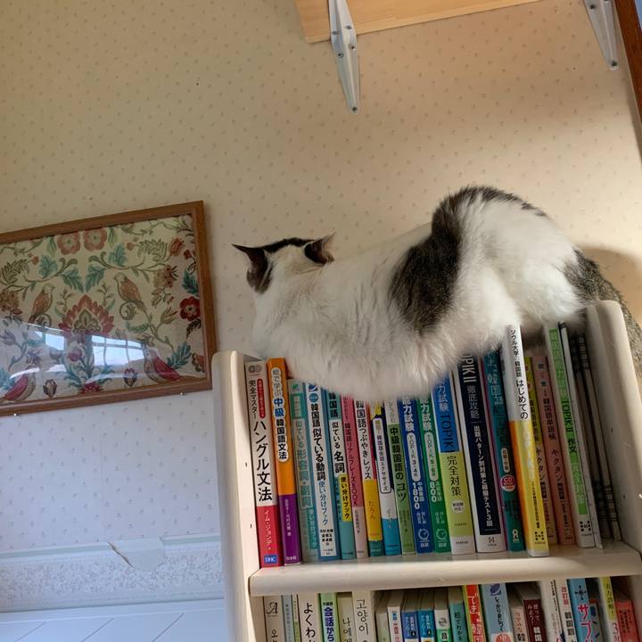 92ab16fb df25 4e60 b474 db5d8defcdb5 1653596881023