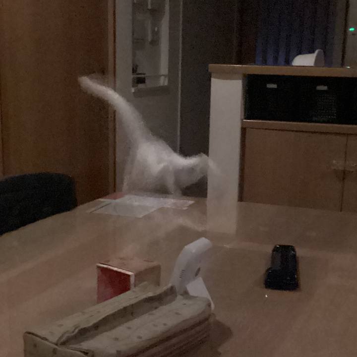 92ab4551 8fea 4a00 9ec6 8e8f5eaa0521 1681844504992