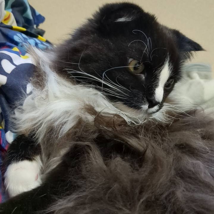 92ab4936 2b32 4b4e 8dd4 747196e6aed2 1671343860133