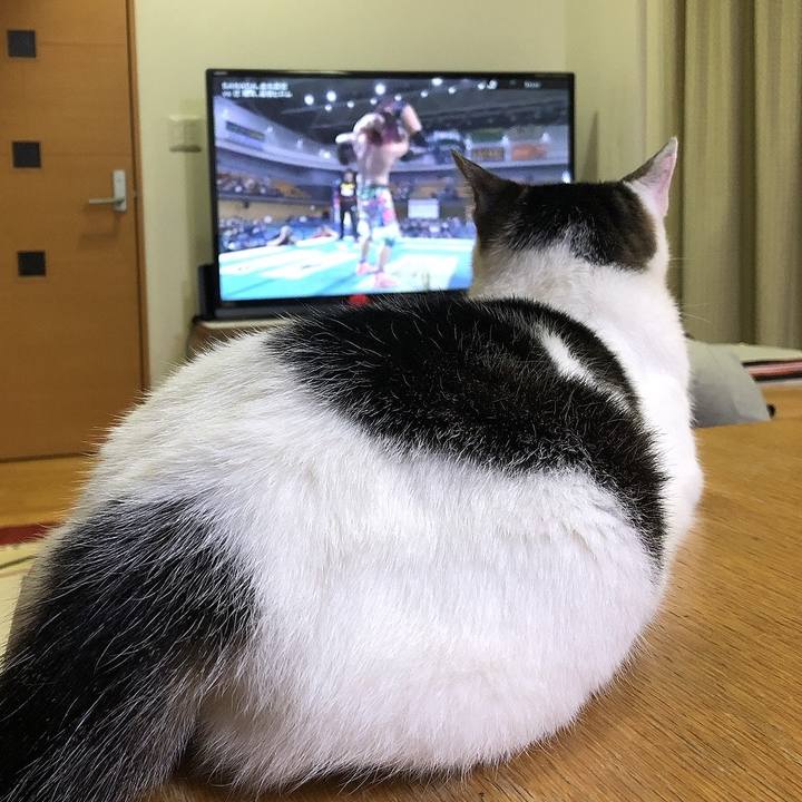 92ab6c28 3fae 4f02 b4fb 7b95ba4e2b6b 1687002382108