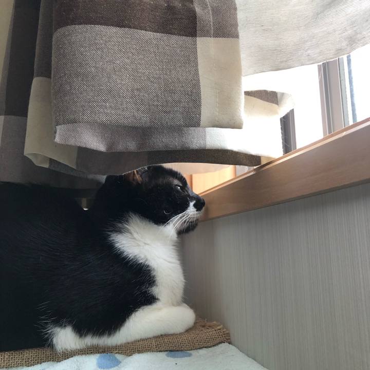 92ab8e15 ecac 4353 a016 a637825f450d 1600999427004