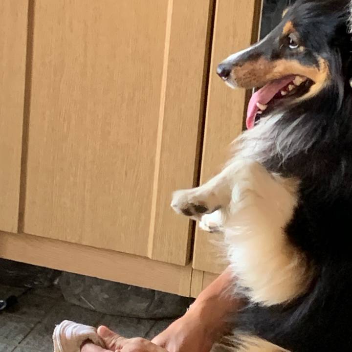 92ab8e7d dd7a 4d91 a2c2 156550009b1e 1564610700921