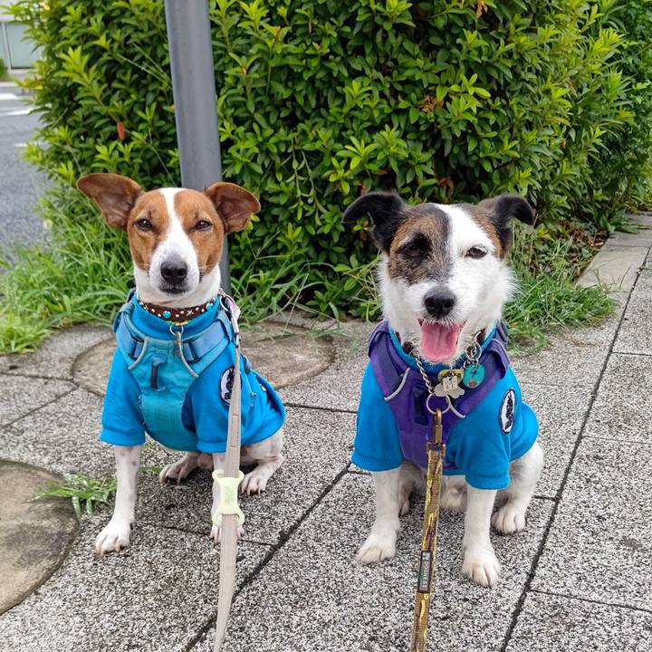 92abaf5a 36f5 4b50 b73d 003bcb180d2d 1657750346589