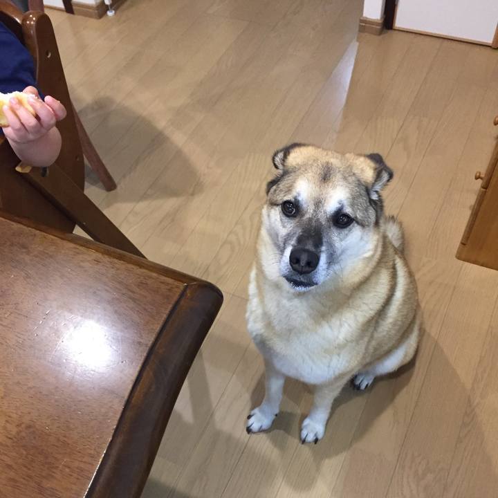 92abc323 23e5 4b09 9d01 31e4f9fd1e04 1528259933522