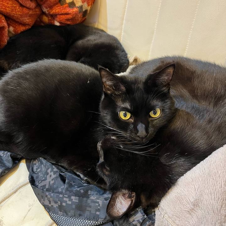 92abdcf9 5190 4a34 891d b3b6683cf653 1646484712059