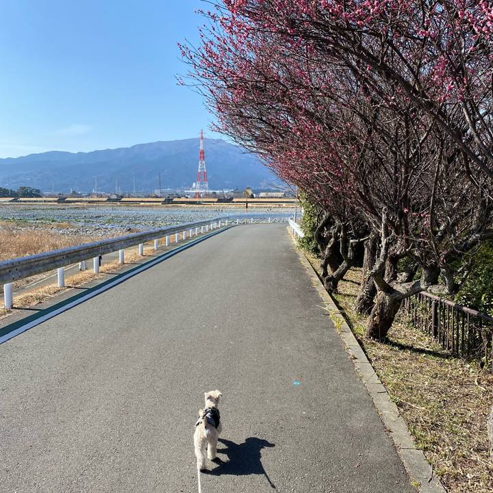 92ac1fa1 523f 4cca 8c8b 386032be668b 1613020413319