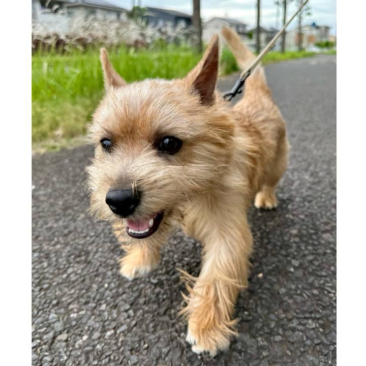 92ac3ca1 cf18 495f b408 4b4b7b2cf443 1714996121944