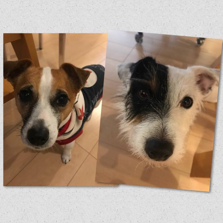 92ac4ed8 cc2d 4dac 8fdc 383f761808f4 1512042528732