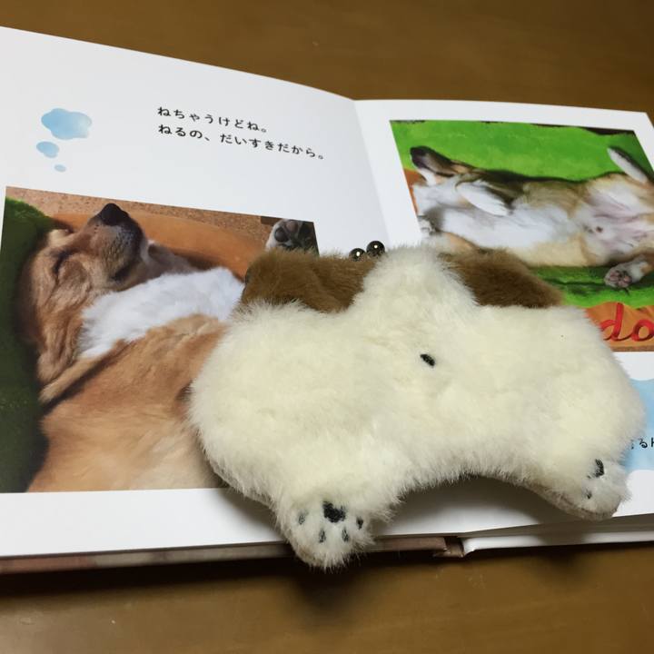 92ac651a 9770 443e a31b ab8292a89011 1512053101415