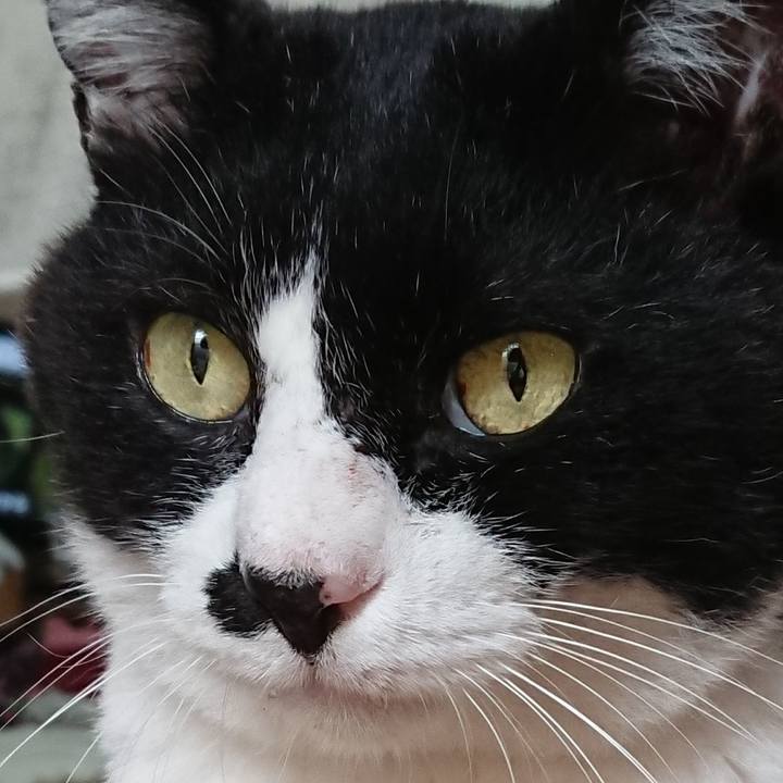 92aca305 fa10 4dda a6df cb80a5d32d72 1528860851641