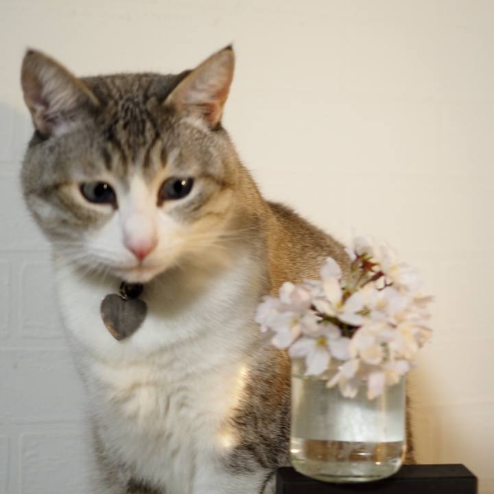 92acf275 1c83 46ce 8f7c 43262fd17e40 1617538577382