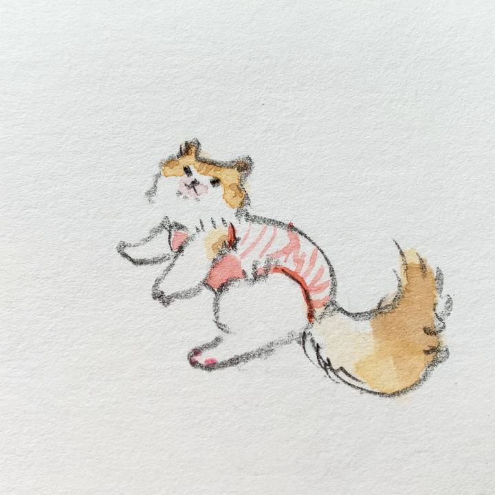 92acf993 5c07 444c 8290 a4597cd2dc9f 1632700558535